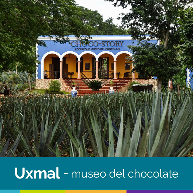 tour-uxmal-museo-chocolate